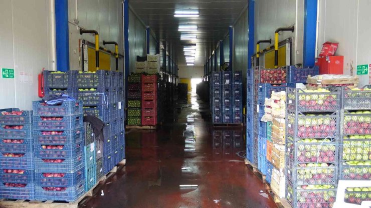 Torosların lezzetli kirazı elektriği güneş enerjisiyle üretilen soğuk hava deposunda korunuyor