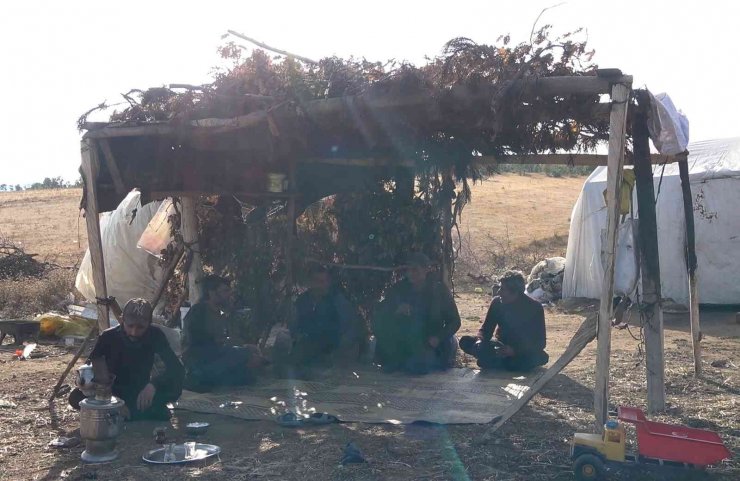 Mangal kömürü üreticilerinin zorlu mücadelesi