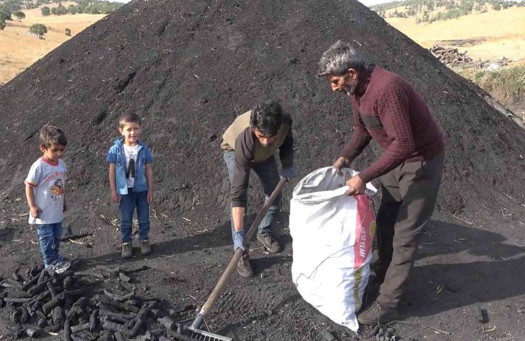 Mangal kömürü üreticilerinin zorlu mücadelesi