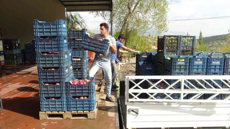 Torosların lezzetli kirazı elektriği güneş enerjisiyle üretilen soğuk hava deposunda korunuyor