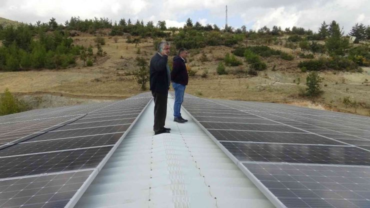 Torosların lezzetli kirazı elektriği güneş enerjisiyle üretilen soğuk hava deposunda korunuyor