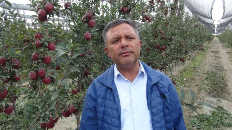 Niğde’de 650 bin ton elma rekoltesi bekleniyor