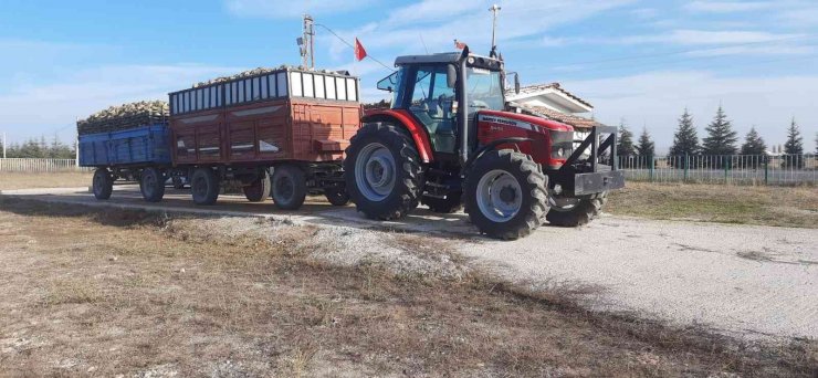 Seyitgazi pancar kantarı alımlara başladı