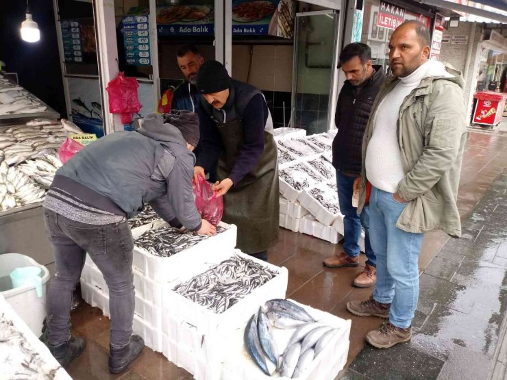 20 Liraya düşen hamsi kapış kapış gitti