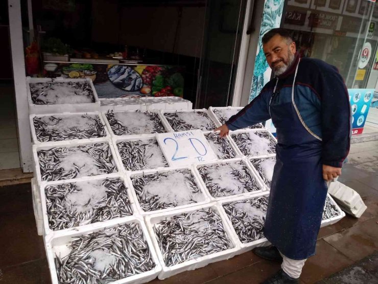20 Liraya düşen hamsi kapış kapış gitti