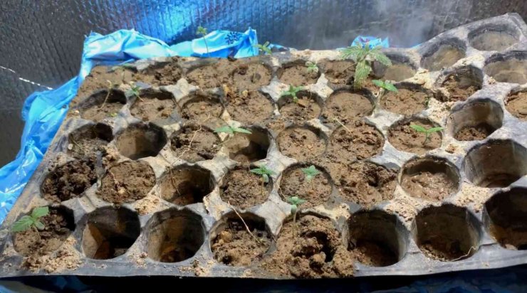 Alüminyum folyolu özel odada buhar makinesi ile kenevir üretimi