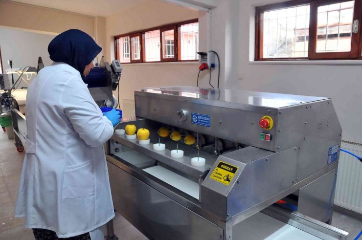 Akşehir Belediyesinden hanımlara meyve kurutma tesisi