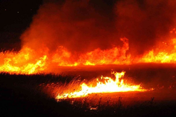 Beyşehir Gölü kıyısında 12 farklı noktada çıkan sazlık yangını söndürüldü