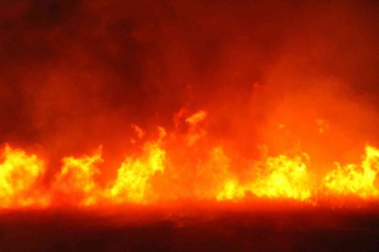 Beyşehir Gölü kıyısında 12 farklı noktada çıkan sazlık yangını söndürüldü