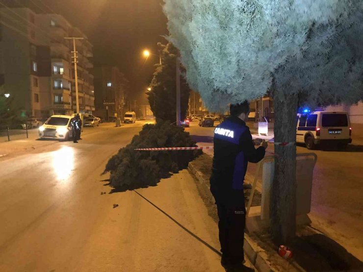 Konya’da şiddetli rüzgar ağaçları devirdi