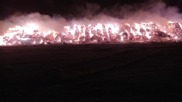 Konya’da 2 bin fiğ ve 800 ton yonca balyası yandı