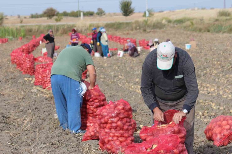 Hüyük’te tarımsal işçilerin günlük yevmiyeleri belli oldu