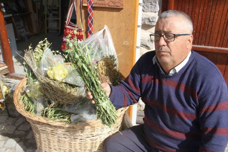 Anamas Dağı’ndan toplanan bitkiler rağbet görüyor