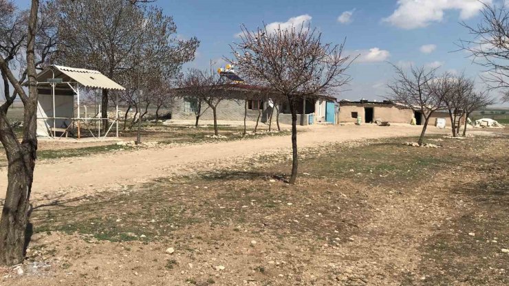 Annesinin öldürdüğü 3 yaşındaki çocuğun babası ve kardeşlerinden mezarına ziyaret