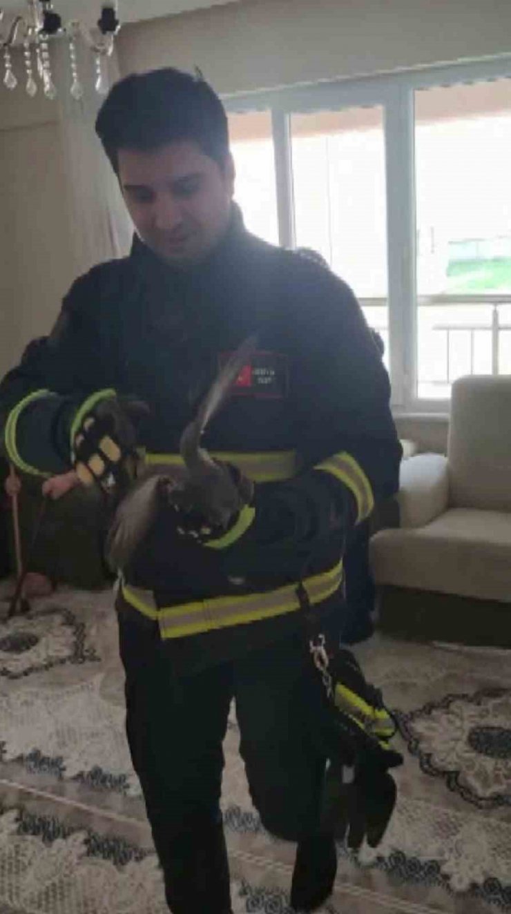 Havalandırma boşluğunda mahsur kaldı, itfaiye ekiplerince kurtarıldı