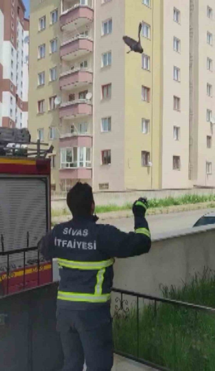 Havalandırma boşluğunda mahsur kaldı, itfaiye ekiplerince kurtarıldı