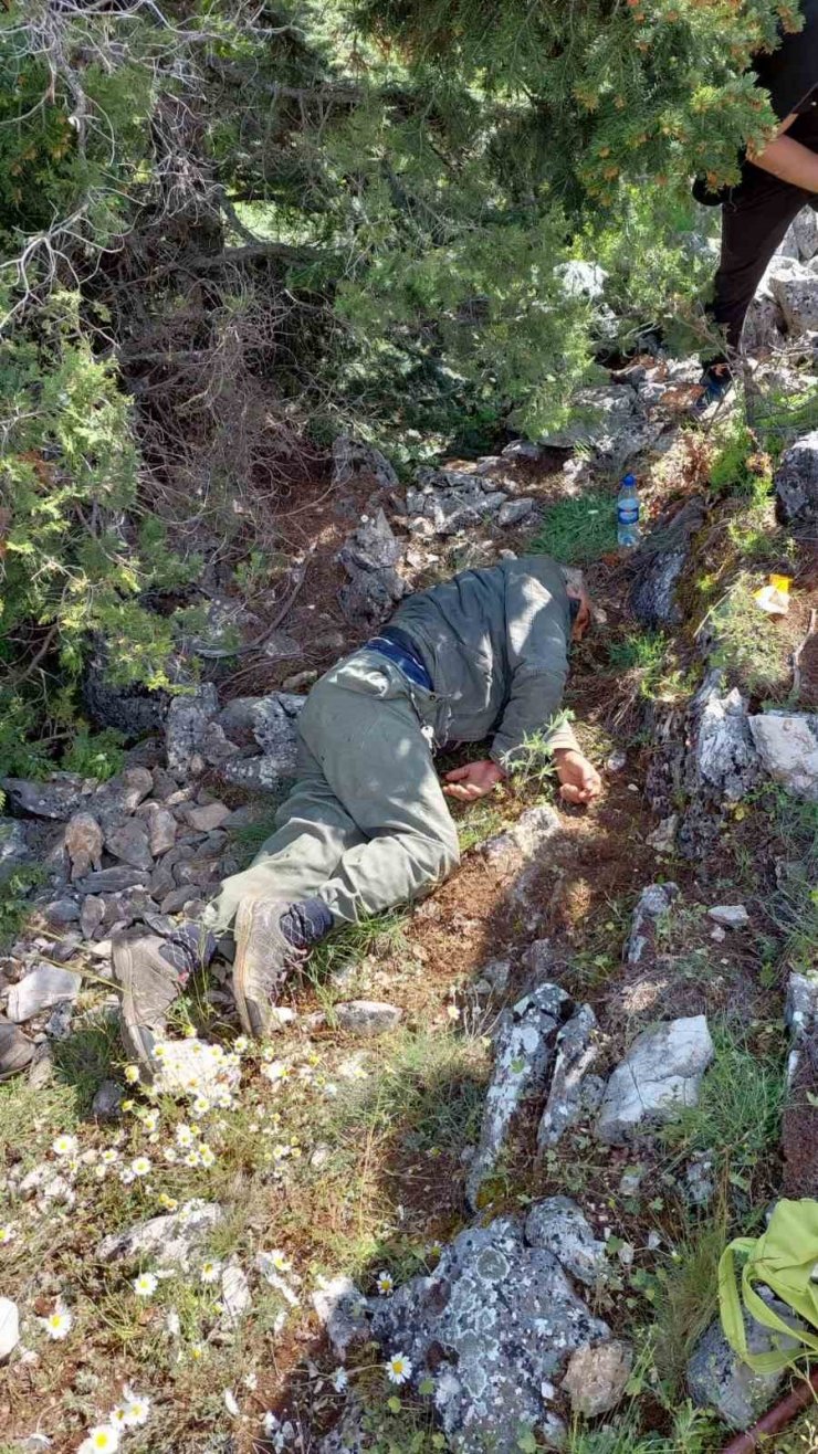 Dağa mantar aramaya çıkan kişi 45 saat sonra sağ olarak bulundu