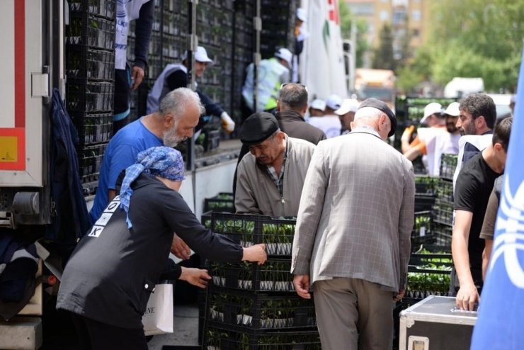 Kahramankazan’da çiftçilere 1 milyon 500 bin fide desteği