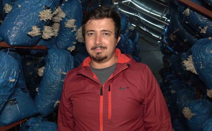Çocukluk arkadaşı 3 mühendis istiridye mantarı üretiyor: Kilosu 70 liradan satılıyor