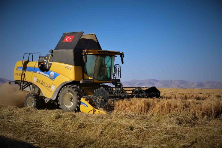 Tahıl ambarı Konya Ovasında arpa hasadı başladı