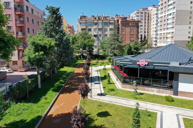 Kafe Karatayların sayısı artıyor
