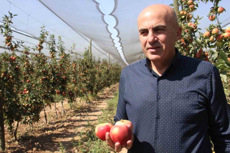 Türkiye’nin elma deposu Karaman’da 55 gün sürecek olan elma hasadı başladı
