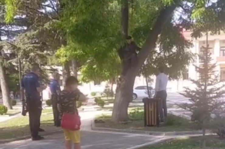 Maaşını alamayan vatandaş valilik önünde ağaca çıktı