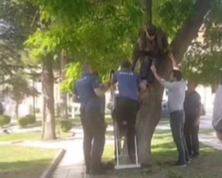Maaşını alamayan vatandaş valilik önünde ağaca çıktı