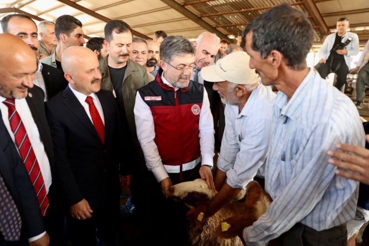 Depremden etkilenen illerde küçükbaş, kanatlı hayvan ve arılı kovan dağıtımları tamamlandı