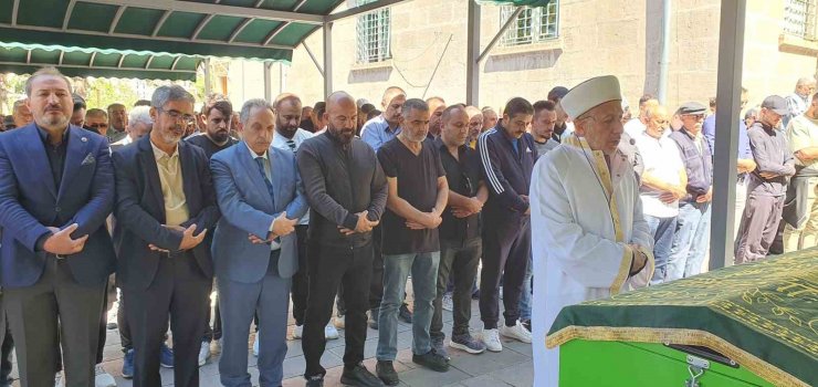 Sefa’ya acı veda