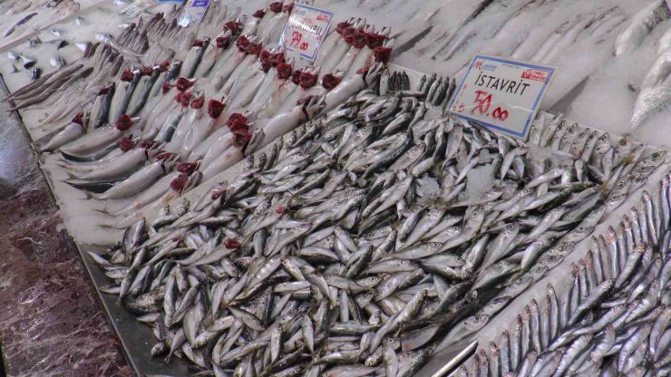 Kayseri’de hamsiye ilgi yoğun