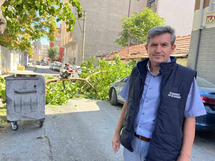 Yola devrilen ağaç korkuttu