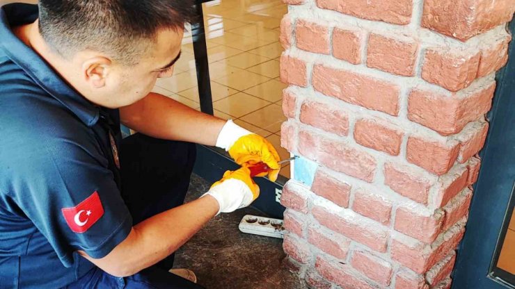 Dekoratif tuğla kolonun içinden yavru kedi çıktı