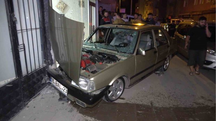 Yola çıkan 2 köpek kazadan kıl payı kurtuldu