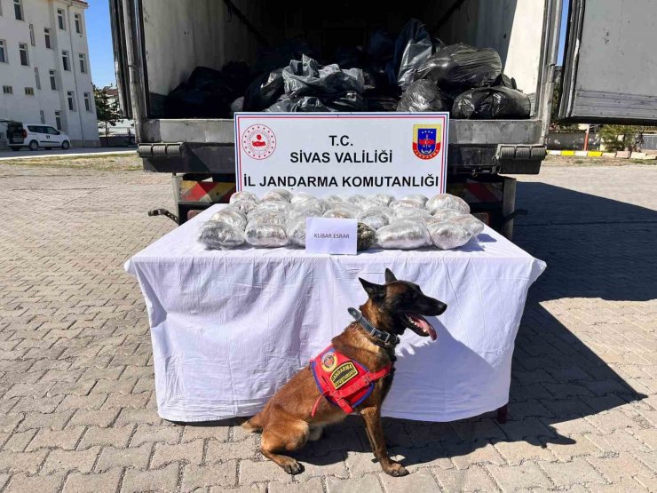 Görenleri hayrete düşürdü, kayısı kolisinden kilolarca uyuşturucu çıktı