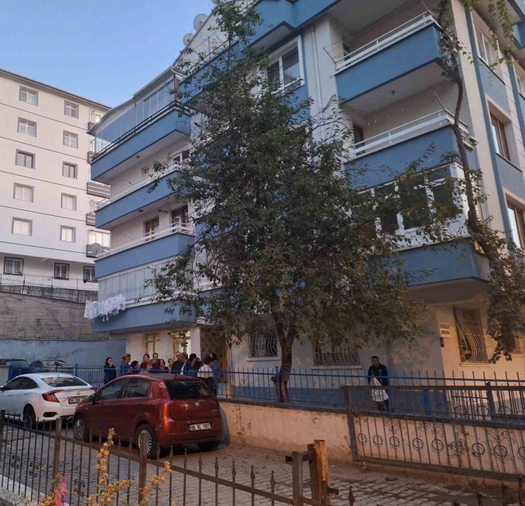 Annesini bıçakla öldürdükten sonra intihar etti