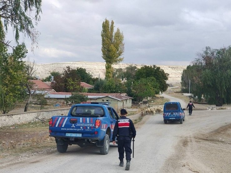 Kaybolan küçükbaş hayvanları jandarma buldu