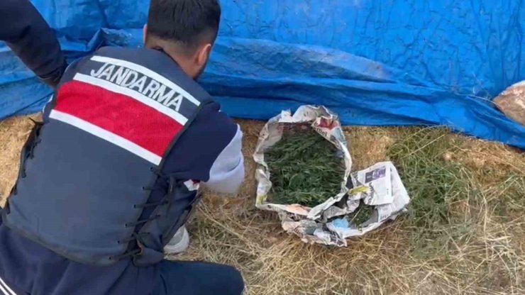 Saman yığınından uyuşturucu çıktı: Narkotik köpeği böyle buldu