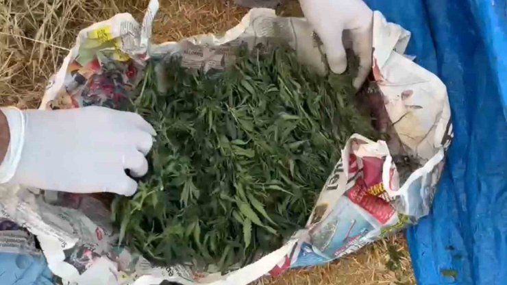 Saman yığınından uyuşturucu çıktı: Narkotik köpeği böyle buldu
