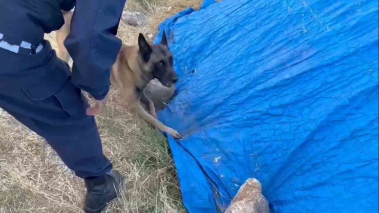 Saman yığınından uyuşturucu çıktı: Narkotik köpeği böyle buldu