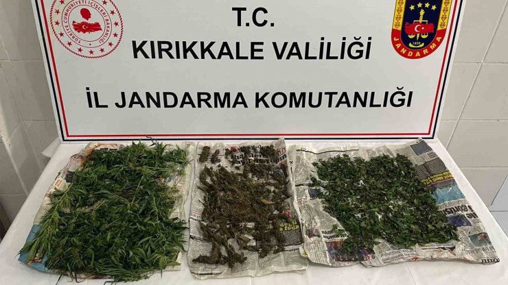 Saman yığınından uyuşturucu çıktı: Narkotik köpeği böyle buldu