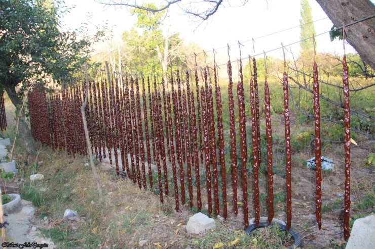 Halkapınar’da cevizli bandırma mesaisi başladı