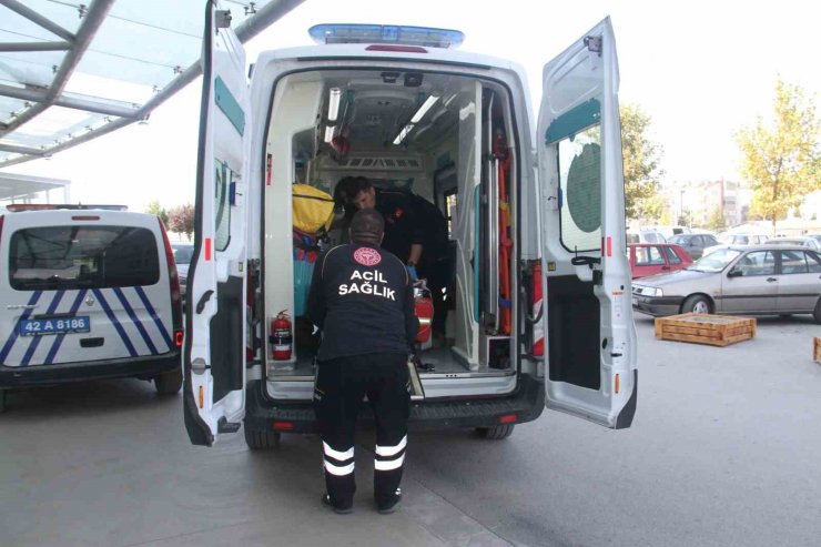 Çıktığı ceviz ağacı hayatına mal oldu