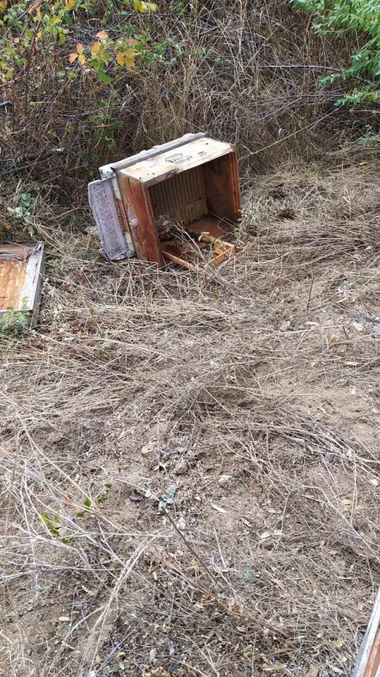 Köye inen ayı, arı kovanlarını parçaladı