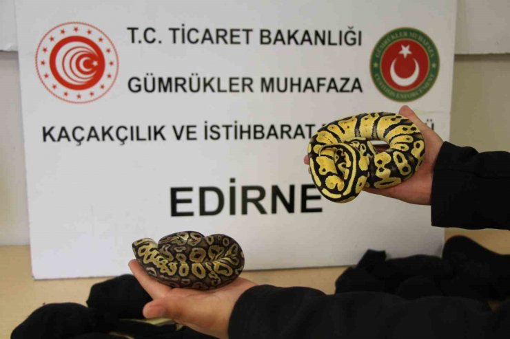 Yılın ilk 10 ayında 18,8 milyar liralık uyuşturucu ve kaçak eşya ele geçirildi