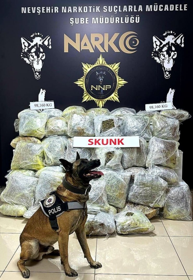 Nakliye süsü ile uyuşturucu ticaretini polis engelledi