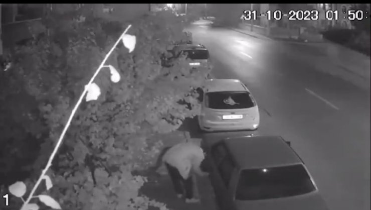 Kayseri polisi 10 günde 56 hırsızlık olayını aydınlattı