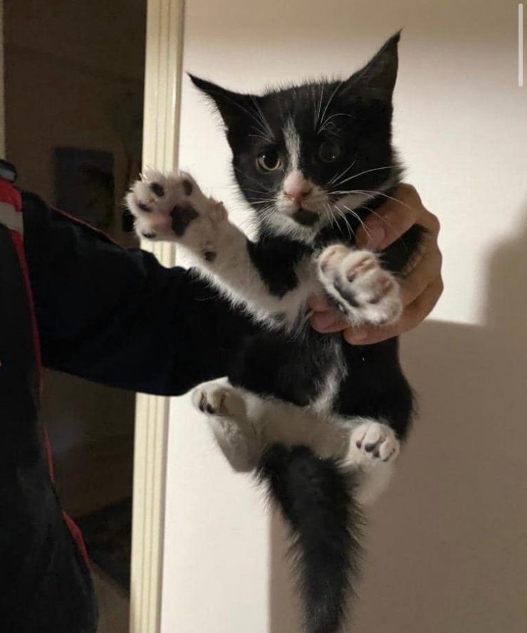Baca deliğine düşen kedi kurtarıldı