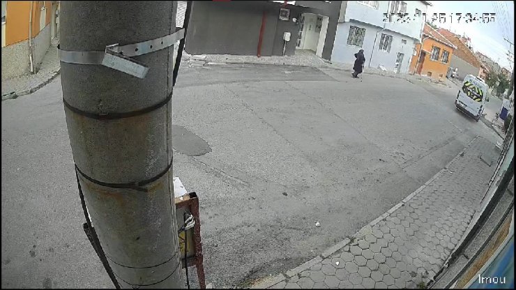 Servis minibüsü yolda duran köpeği ezip kaçtı