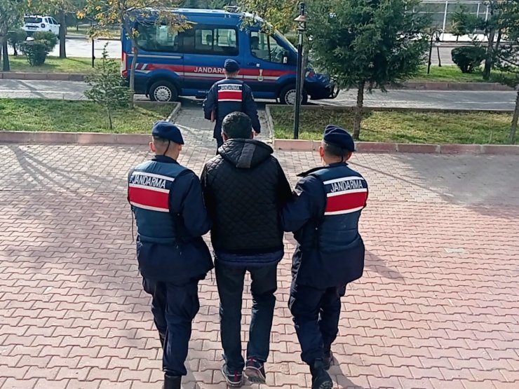 Araçtaki uyuşturucuyu jandarma narkotik köpeği buldu